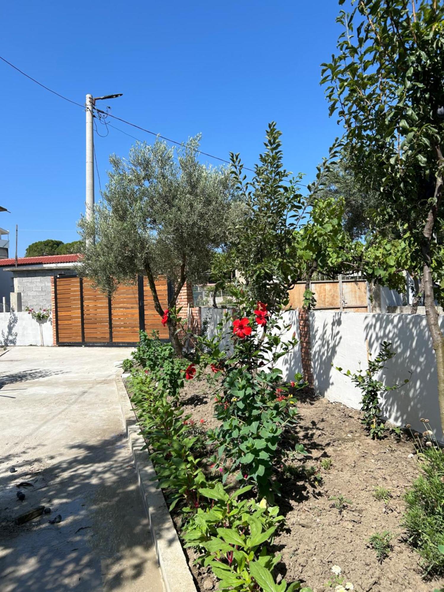 Vila Roan Vlorë 외부 사진