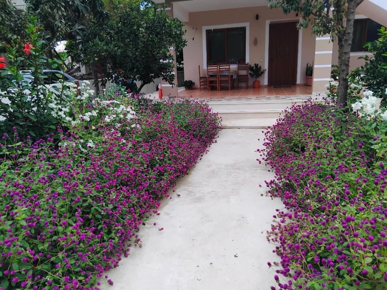 Vila Roan Vlorë 외부 사진